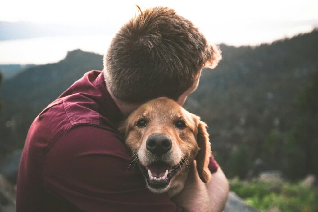 Pet Owners Face Vet Bill of Over £1,000 for Common Illnesses – Here’s How to SAVE